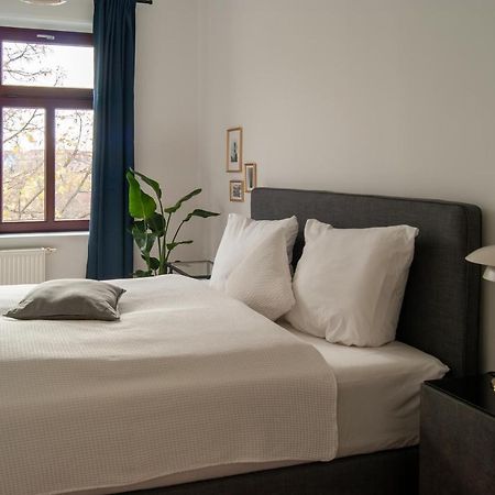 Grosse Familienfreundliche Wohnung In ドレスデン エクステリア 写真