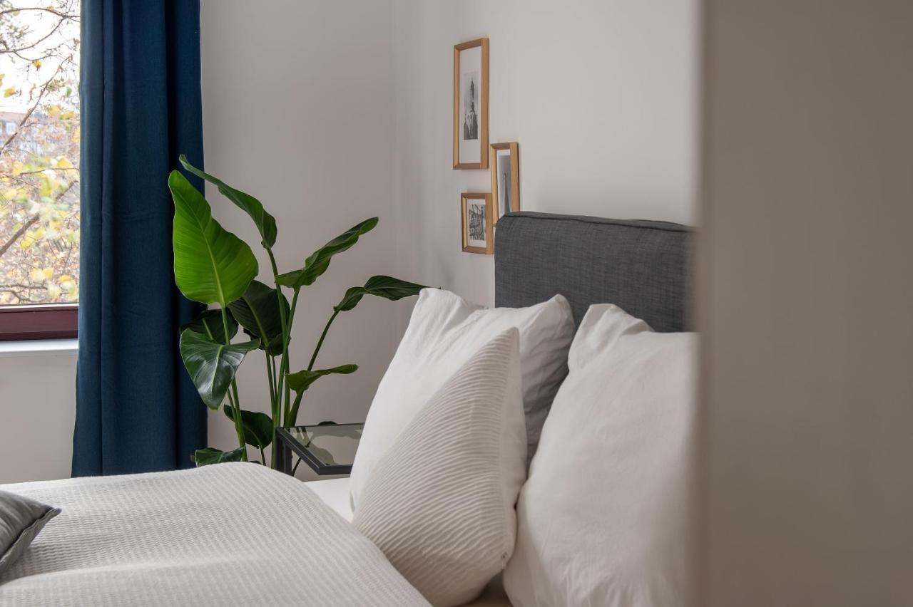 Grosse Familienfreundliche Wohnung In ドレスデン エクステリア 写真