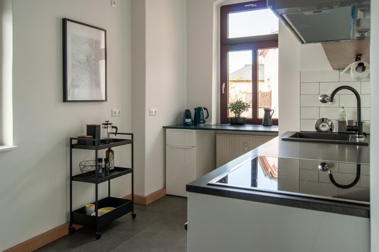 Grosse Familienfreundliche Wohnung In ドレスデン エクステリア 写真