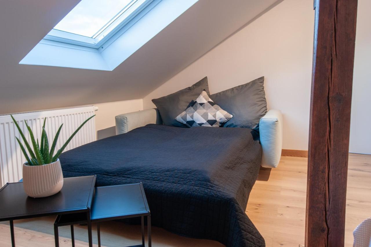 Grosse Familienfreundliche Wohnung In ドレスデン エクステリア 写真