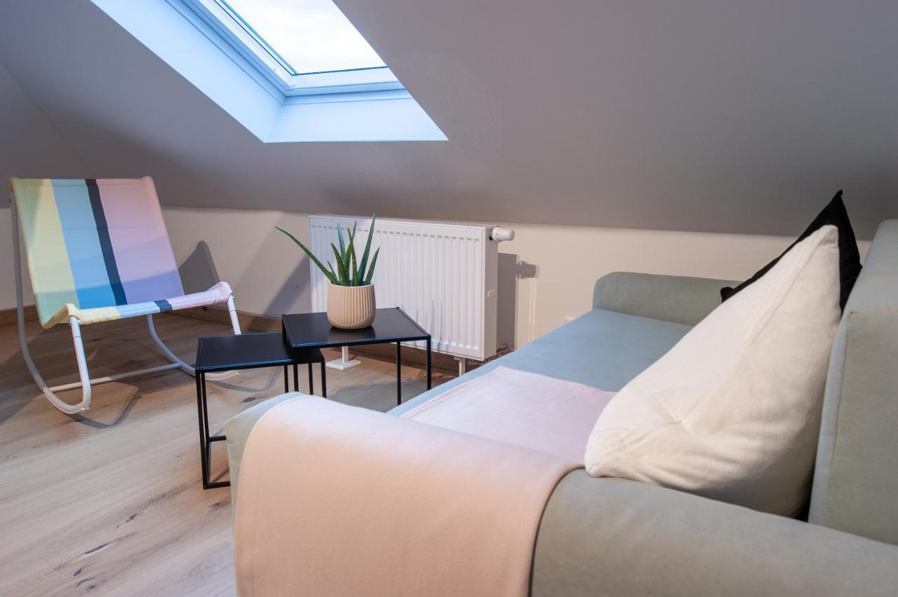 Grosse Familienfreundliche Wohnung In ドレスデン エクステリア 写真