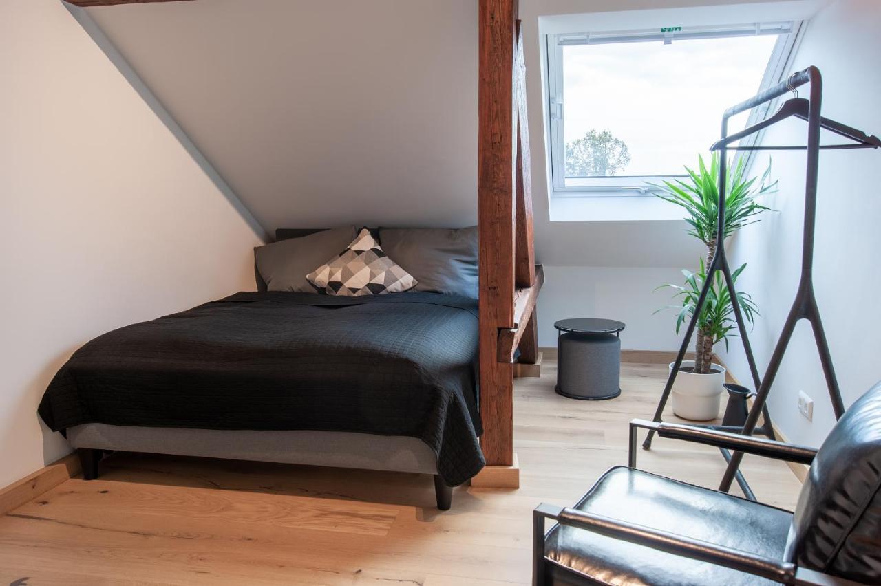 Grosse Familienfreundliche Wohnung In ドレスデン エクステリア 写真